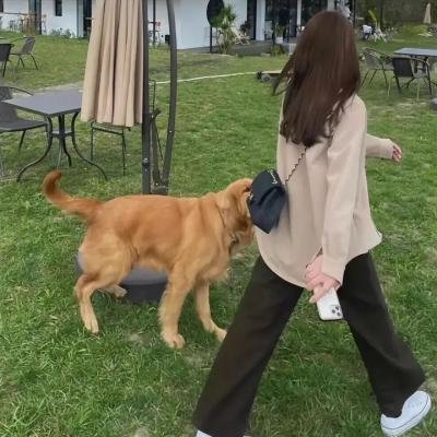 我和我的村